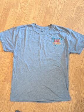 Hanes Gray Graphic Logo Tee with Small Chest Print